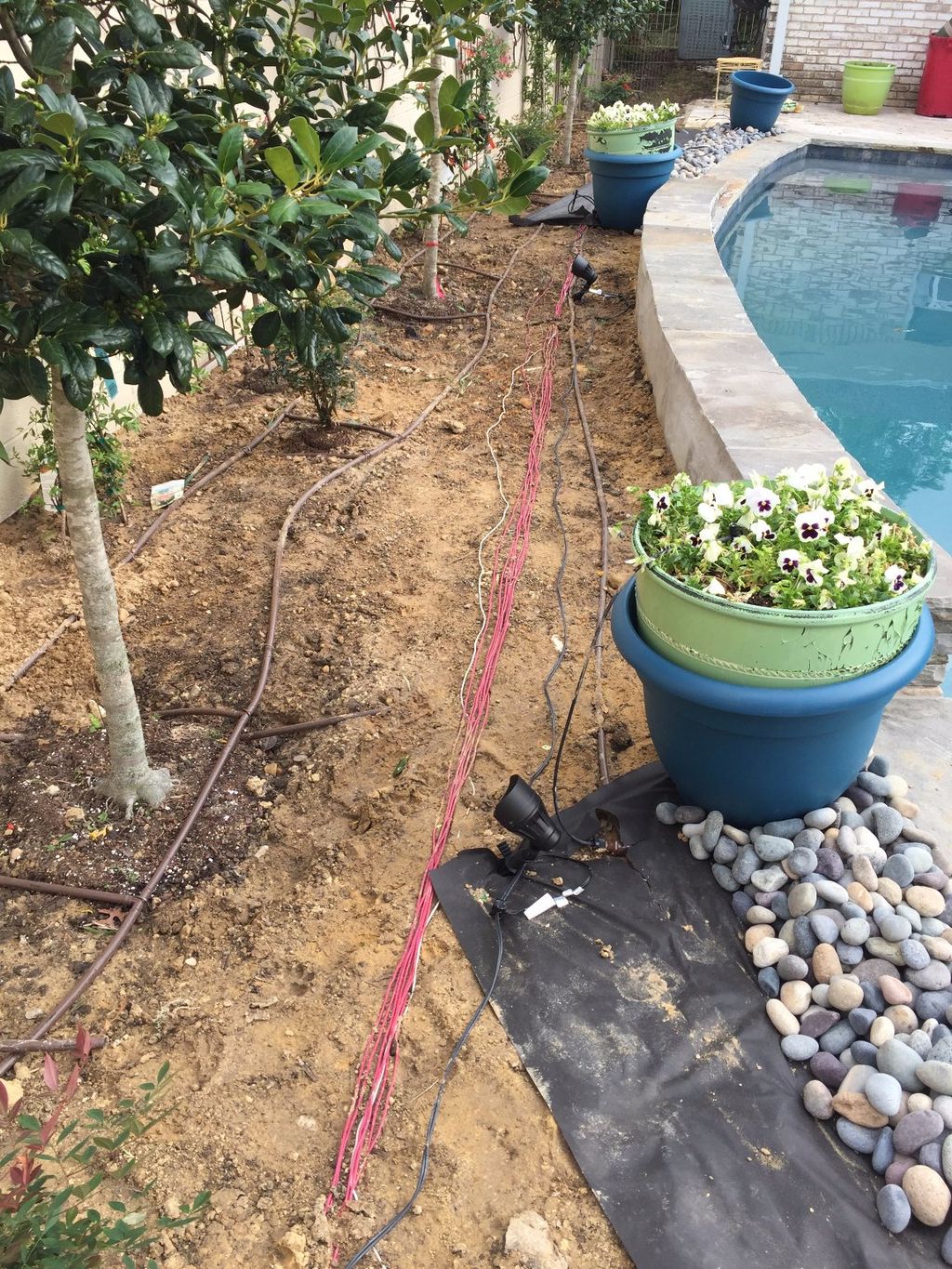 Jose and his crew installed a new drip irrigation 