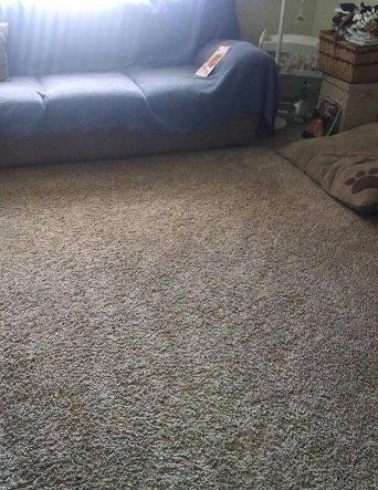 I was saving for a new living room/hallway carpet.
