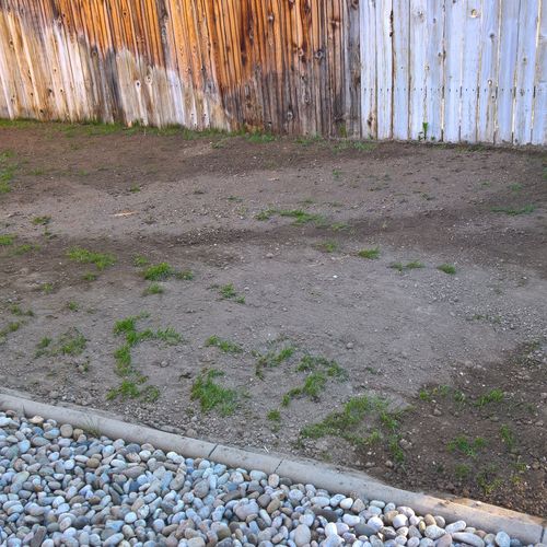 Bruce leveled up the yard. It is an old lawn, bump
