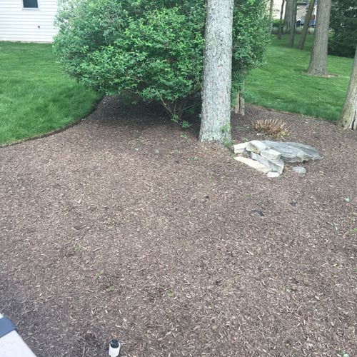 General flower bed clean up and laying in new mulc