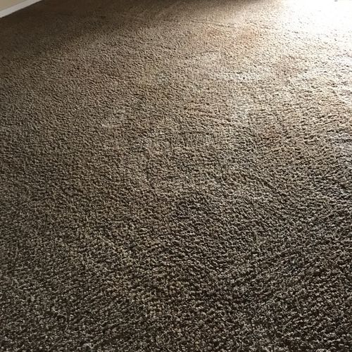 Carpet cleaning from a gentleman that was confiden