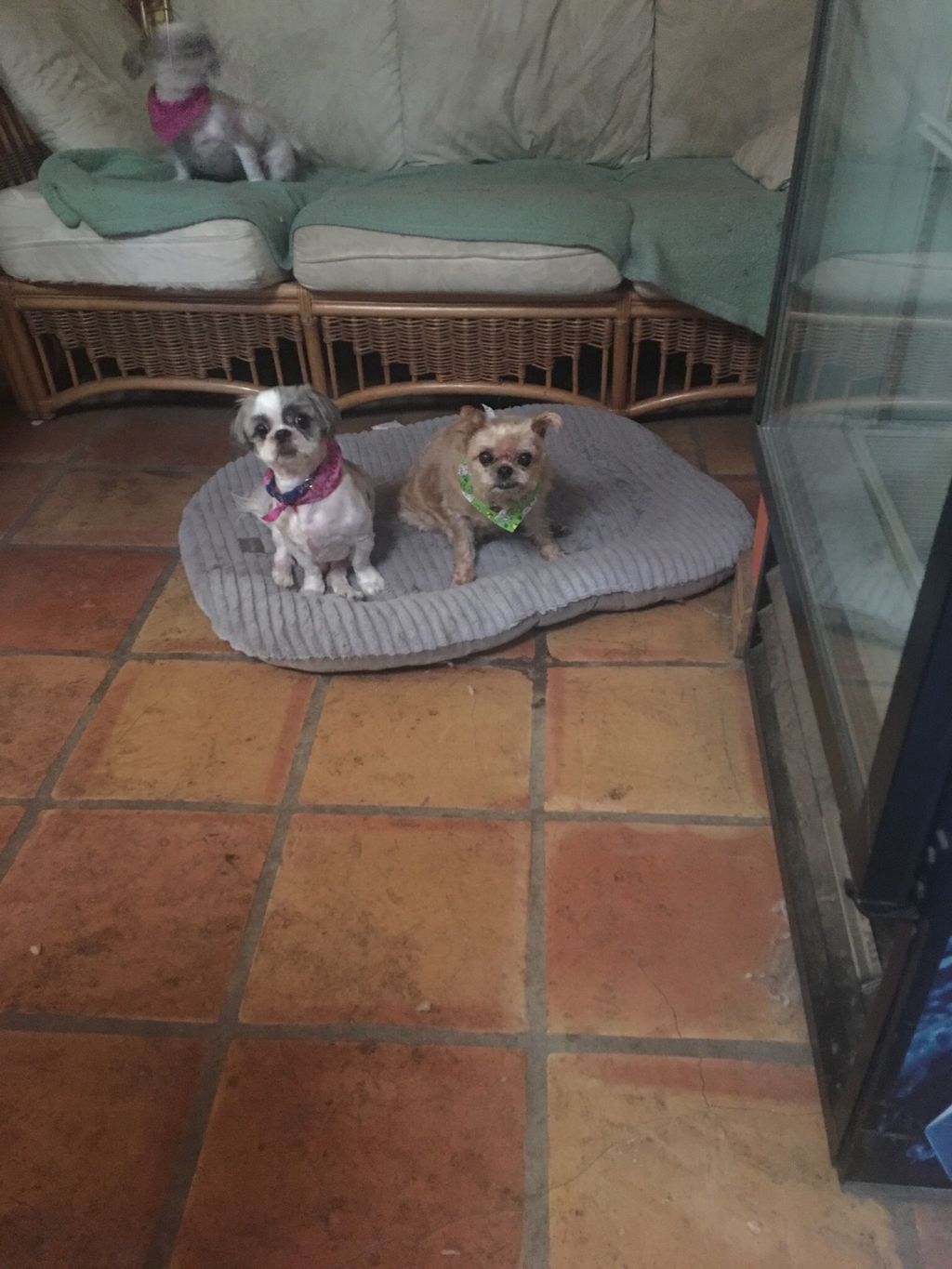 Customer photos