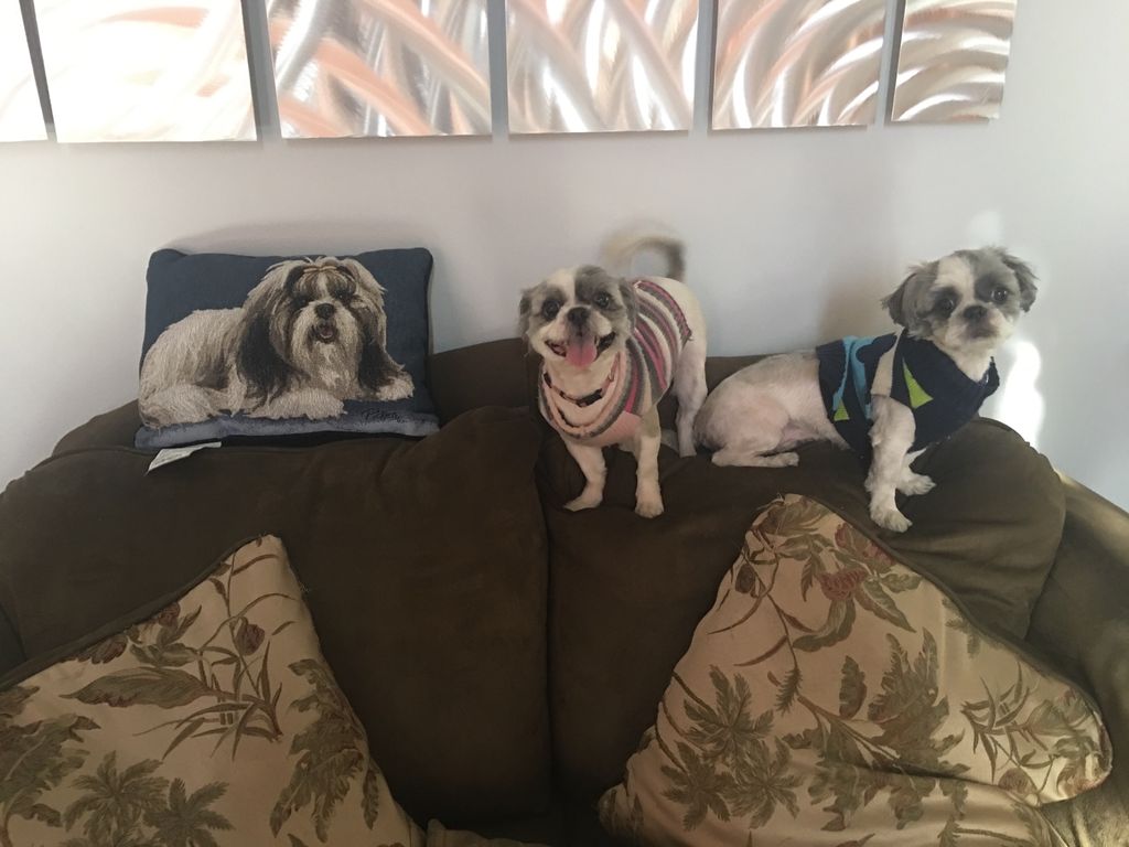 Customer photos