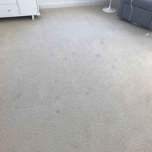 Did a fantastic job. Carpet was like new again. 

