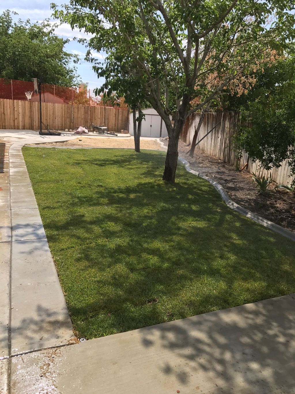 Installed new sod in backyard. Looks great. On the