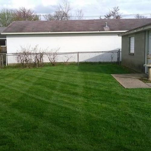 Amazing lawncare, excellent job every time, very a