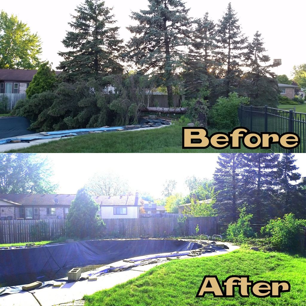 The crew came out and removed 4 trees for us. They