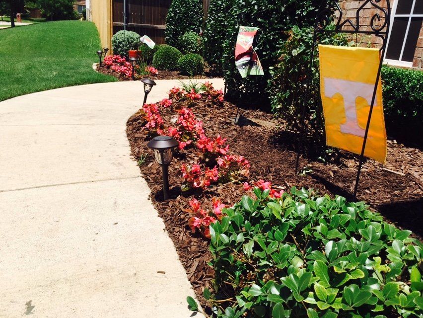 Customer photos