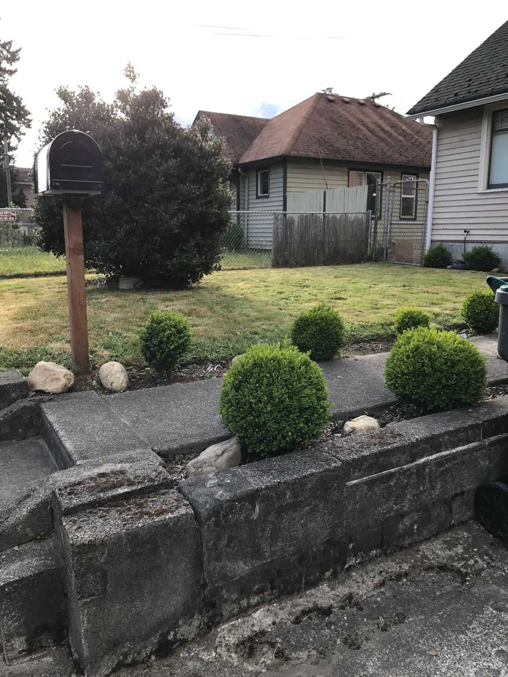 Projects and media