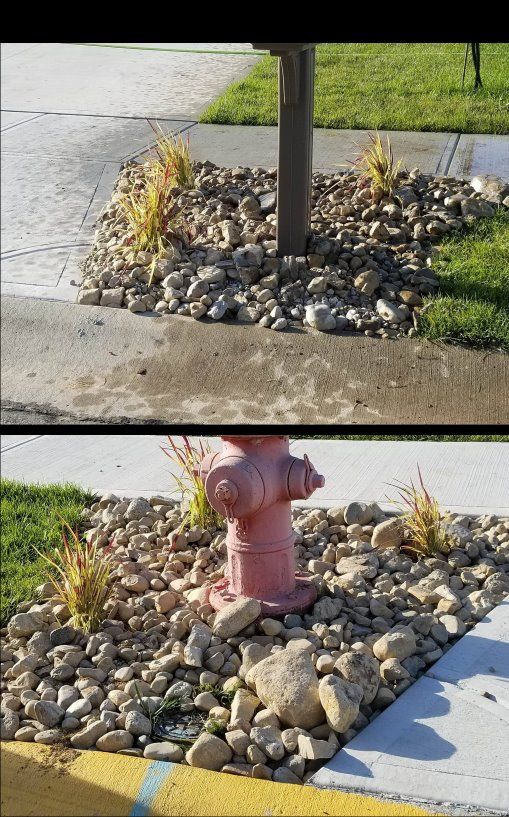 Customer photos
