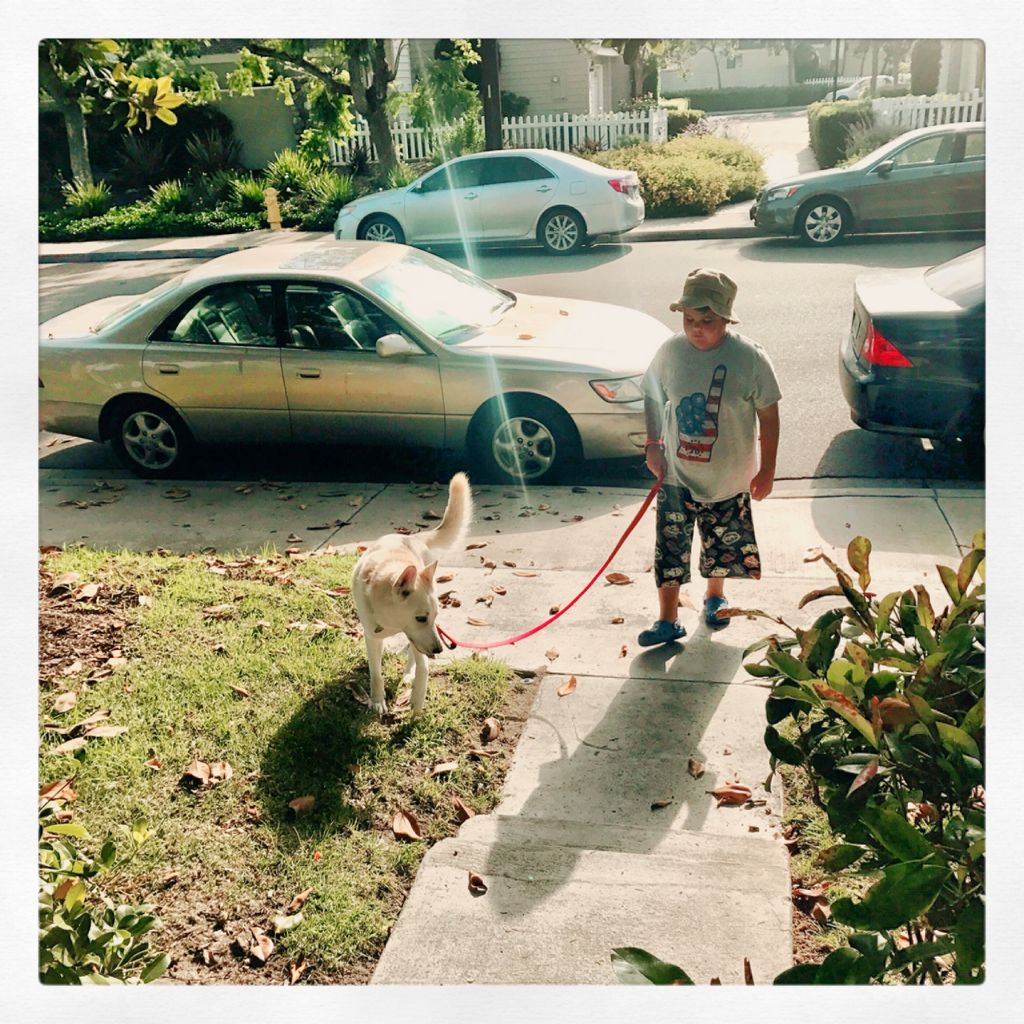 Customer photos