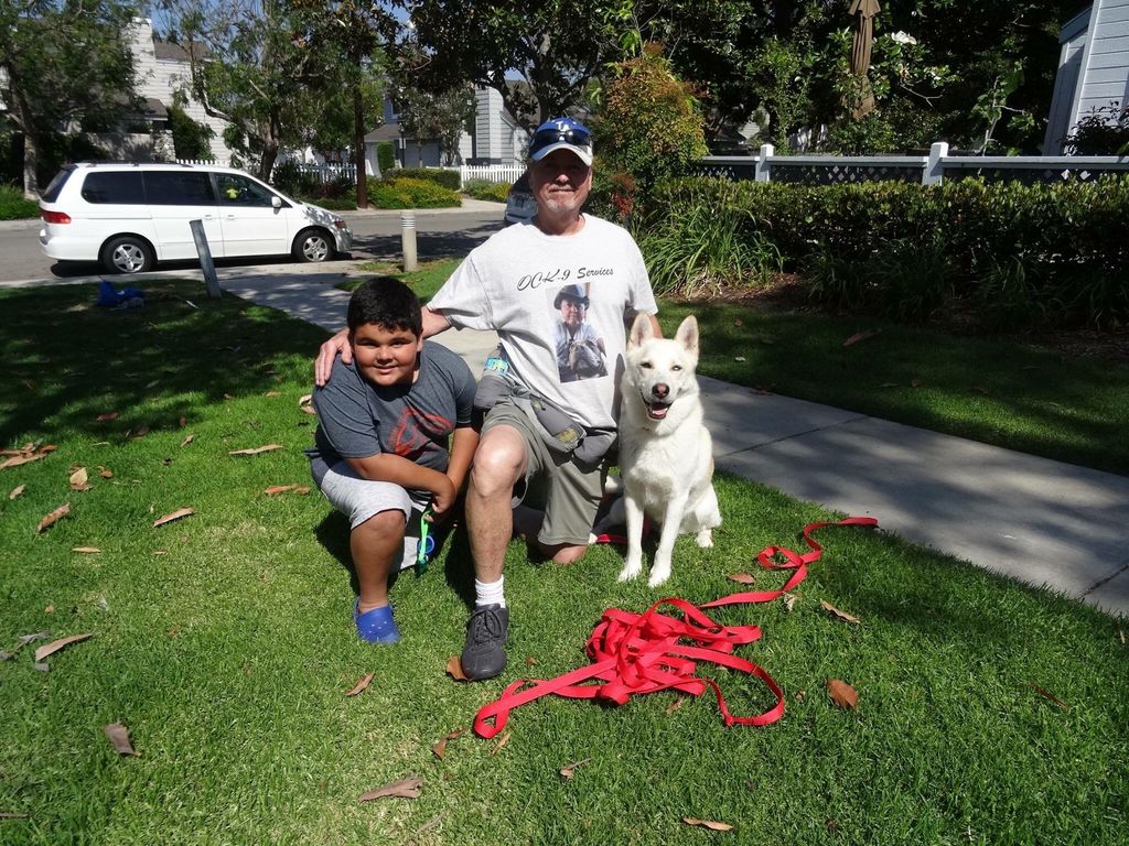 Customer photos