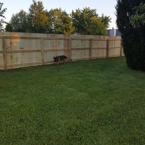 I had a 6 ft privacy fence put in and they did an 