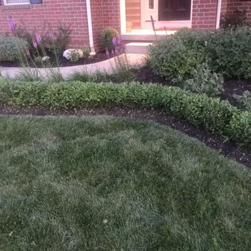We worked with Tim from McCord Landscape for a hed