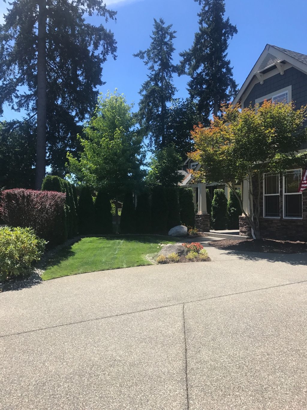 Customer photos