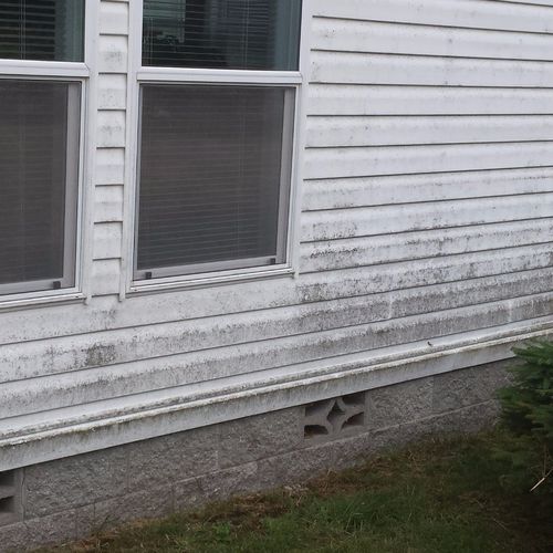 Scott went above and beyond while pressure washing