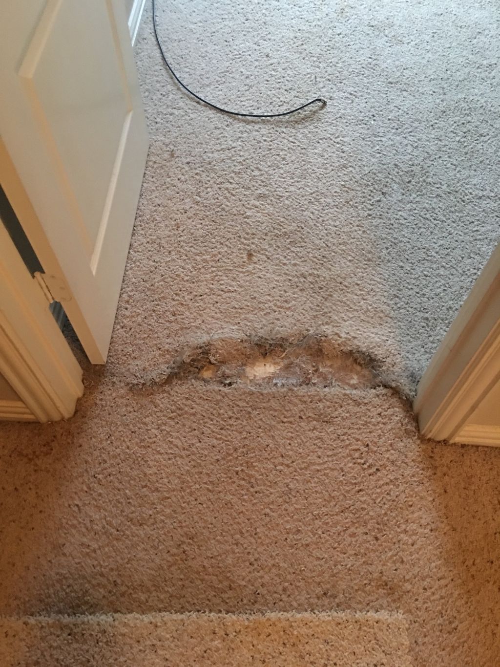 Customer photos