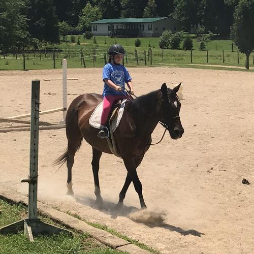 My daughter and I both ride with Castalian Equestr