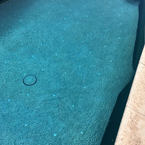 Citi-Wide Pool Service provided me with a quick an