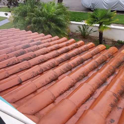 We hired Tom to clean a section of tile roof over 