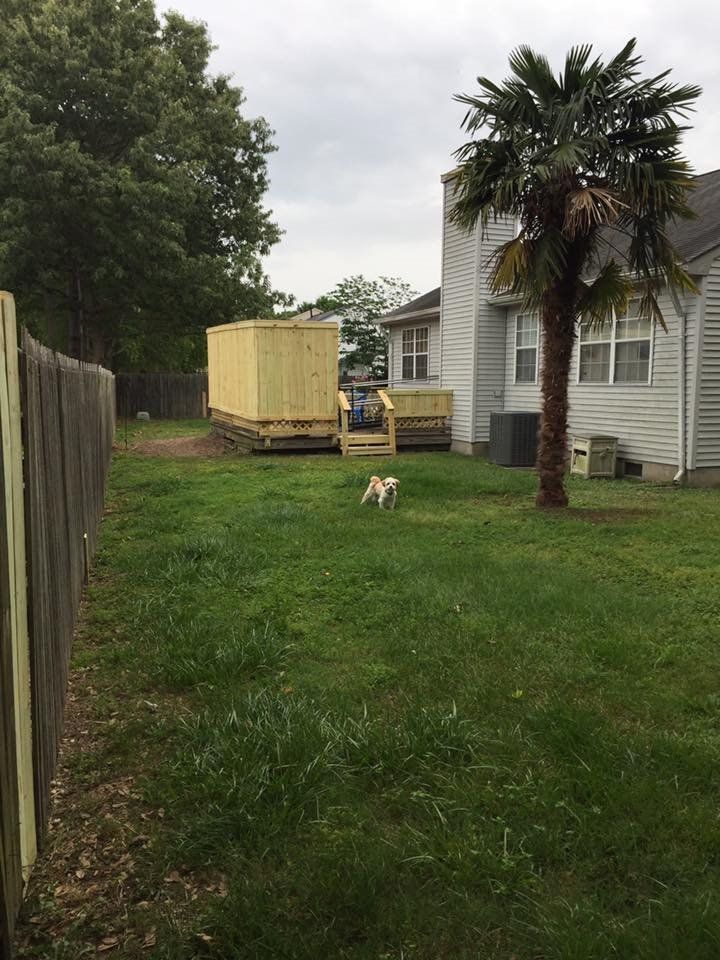 Customer photos