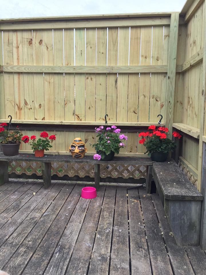 Customer photos