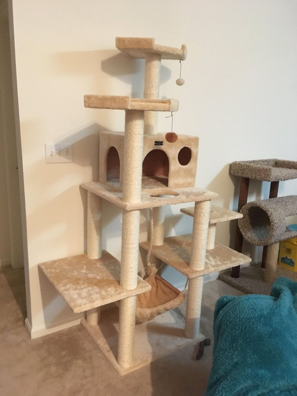 Customer photos