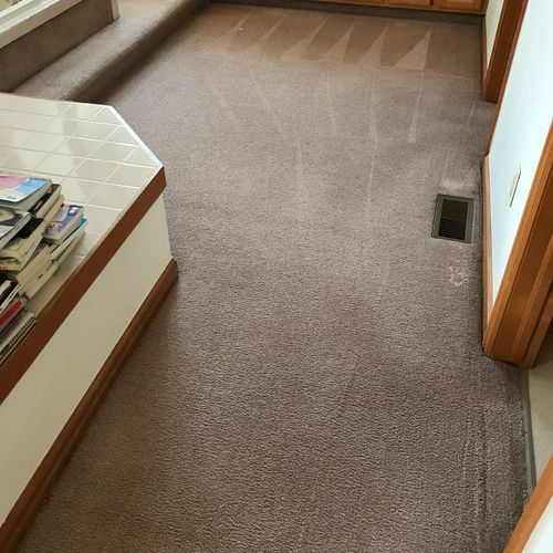 Thank you for carpet cleaning