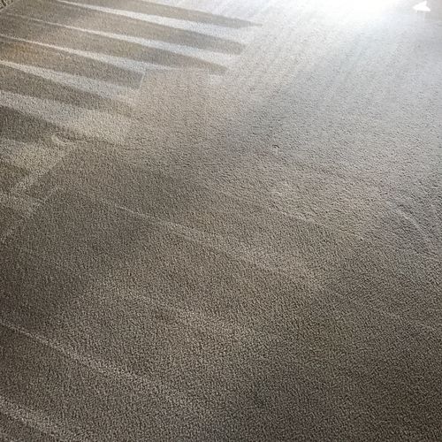 Worked wonders to my horrible carpet! Thank you so