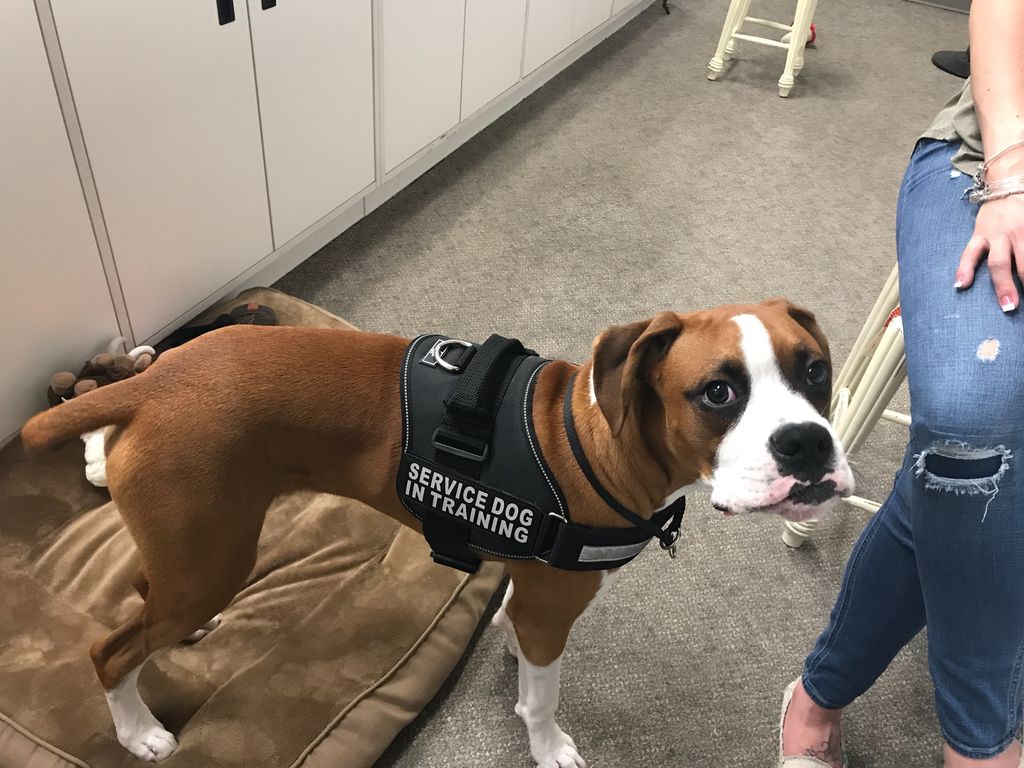 Customer photos