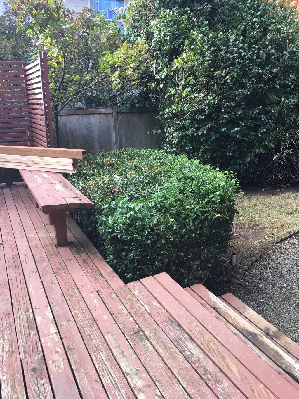 Customer photos
