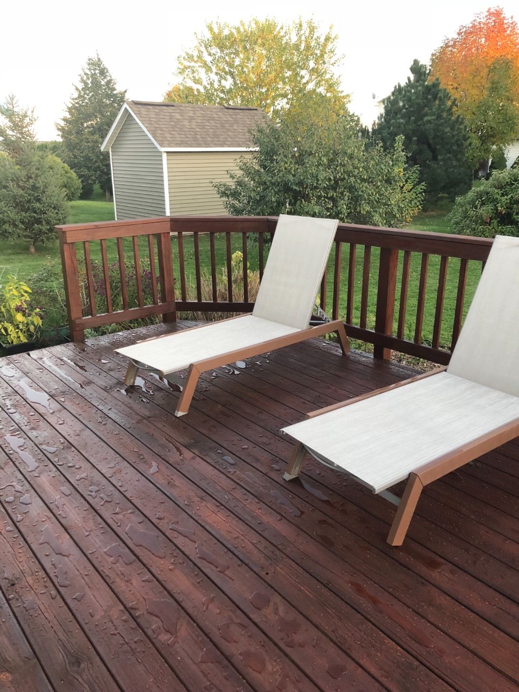 Customer photos