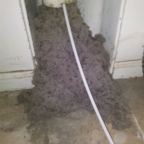 Celebrity dryer vent cleaning did an excellent job