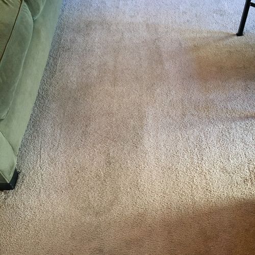 Rodney did an amazing job on my living room carpet