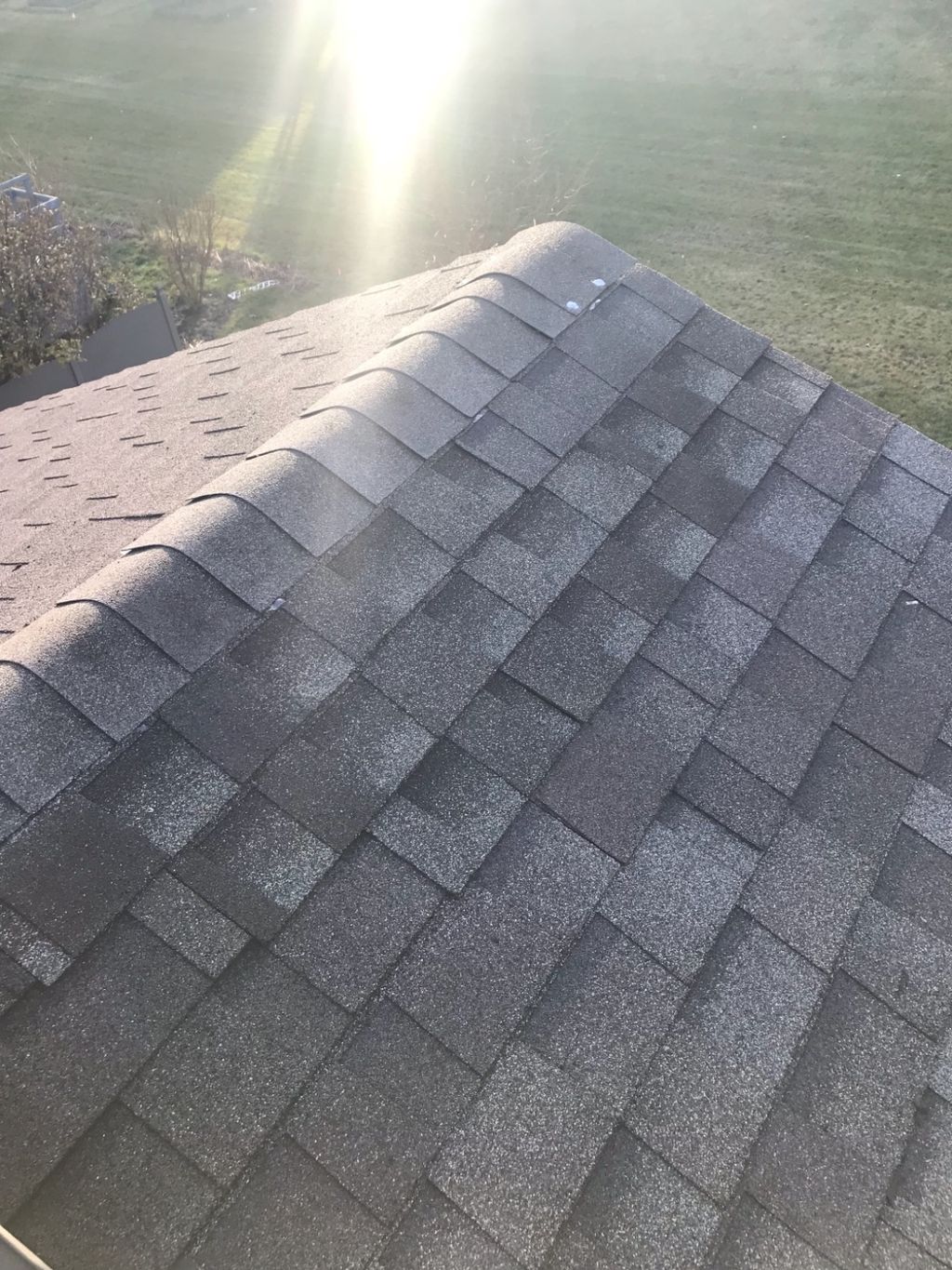 Customer photos