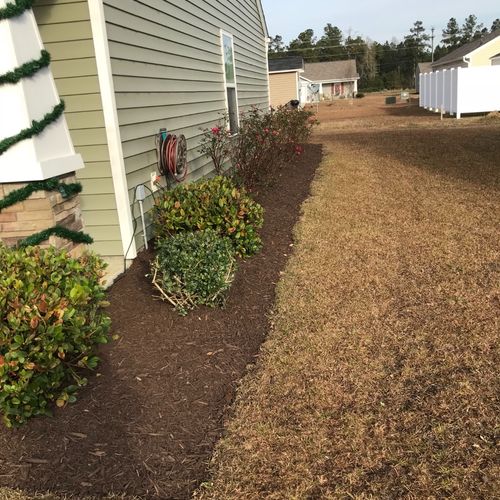 We had edging done,mulch,and some new bushes plant