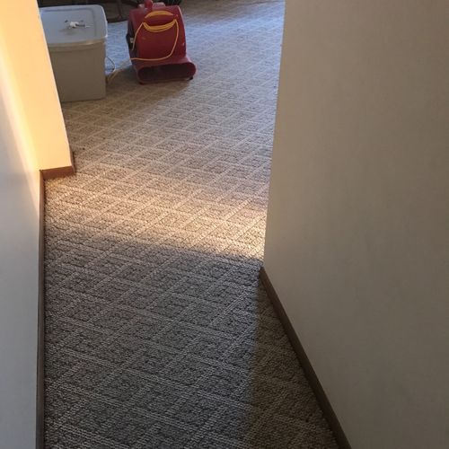When the Unthinkable happen to my Rec-Room Carpet 