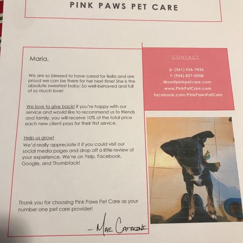 We absolutely love Pink Paws services.  We are imp