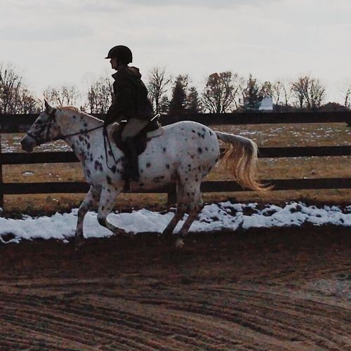 I started riding at Pond View Stables 9 years ago 