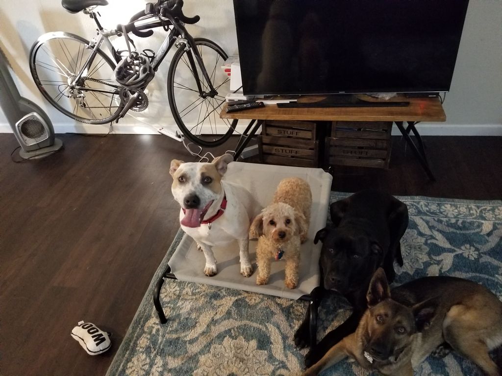 Customer photos