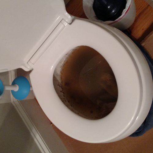 I had a nasty backed up toilet due to a sewer main