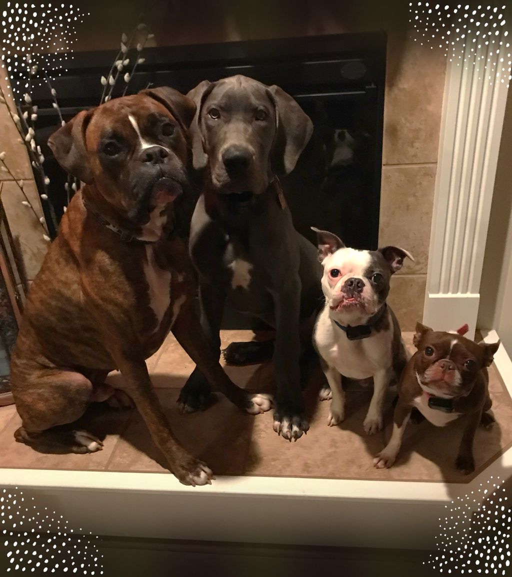 Customer photos