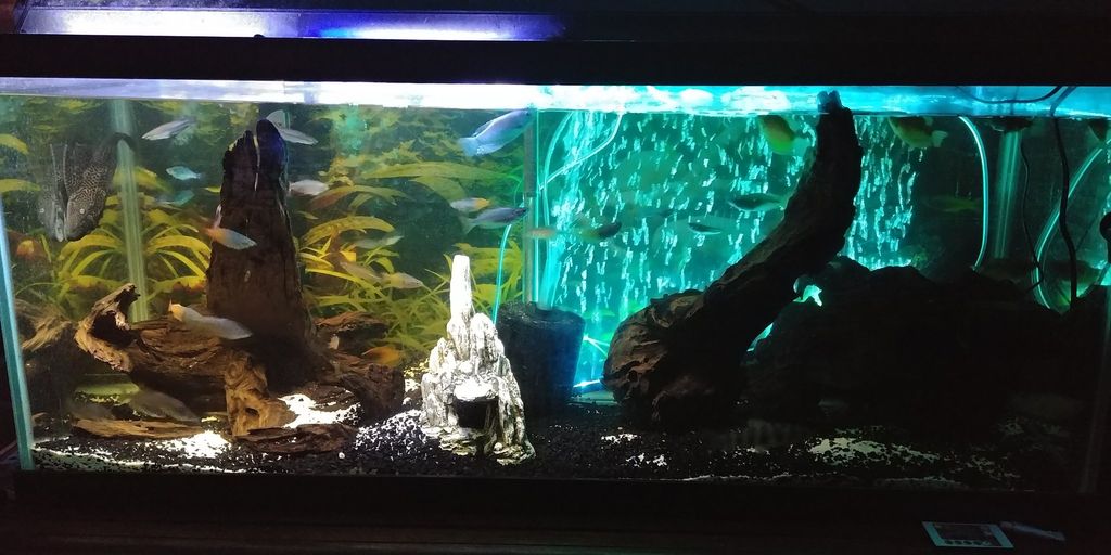 Customer photos