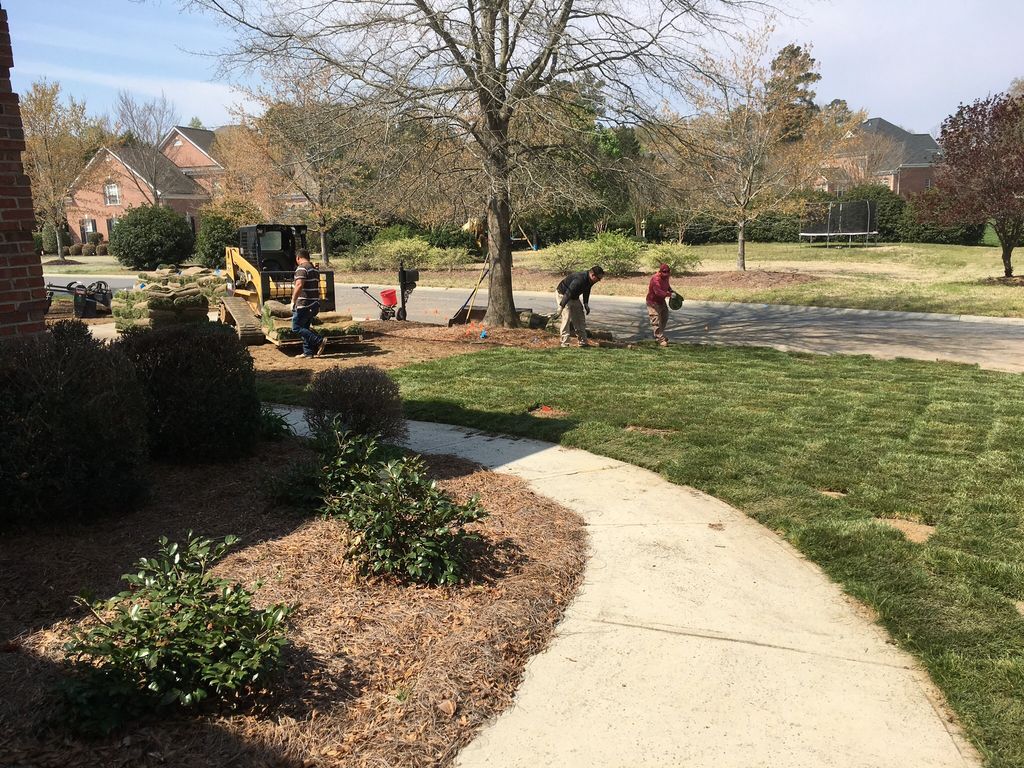 Clay and two guys took out trees, tilled in topsoi