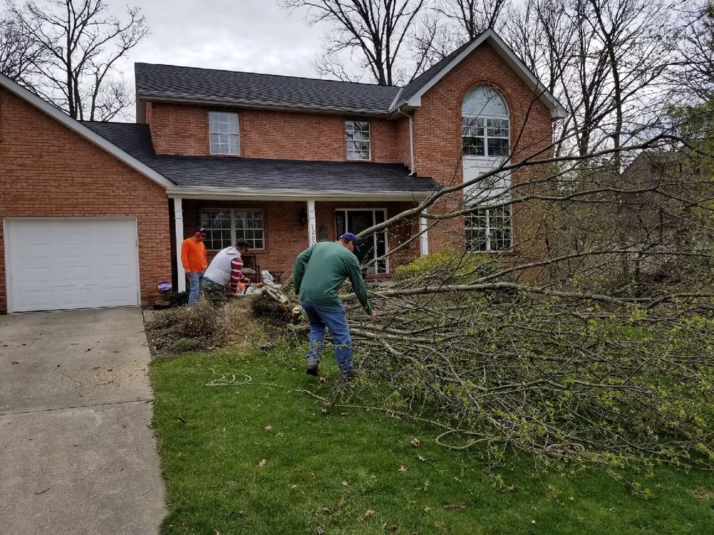 Customer photos