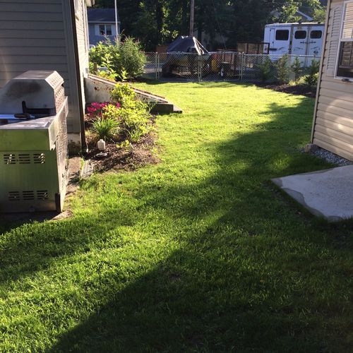 Our lawn was a mess. Peduzzi lawn care rotatilled,