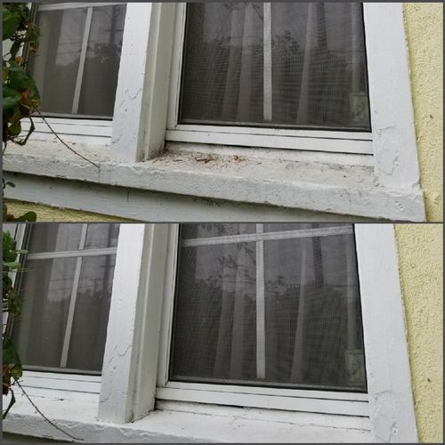 Did a fantastic job on my windows didn't know they