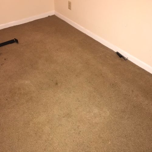 A couple of rooms in my home needed new carpet/har