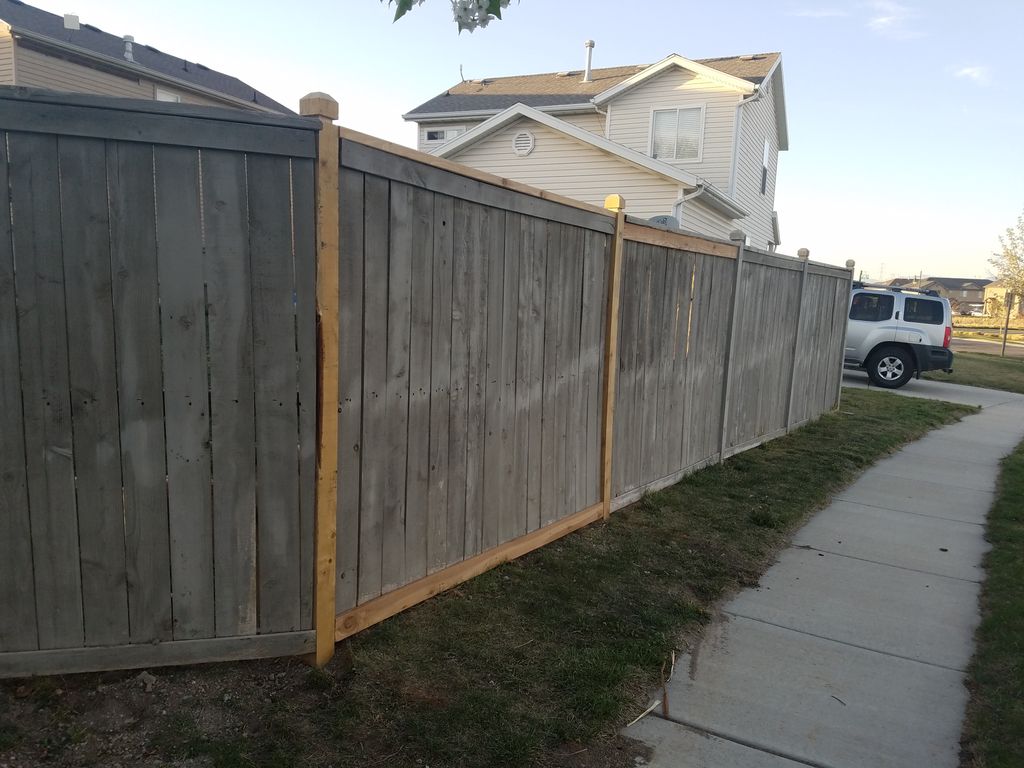 Customer photos