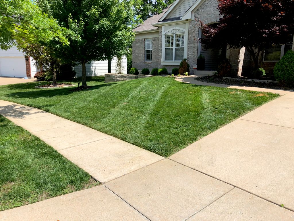 2 weeks after first application.